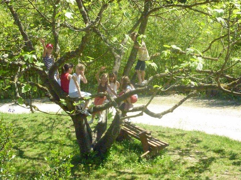 P1020859 [1600x1200].JPG